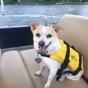 Meet your Posher, Lisa